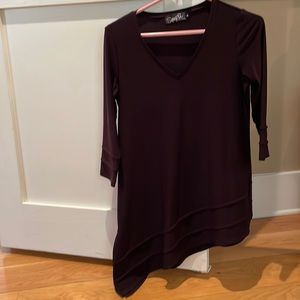 Gorgeous plum colored Sympli top with diagonally cut bottom. Like new.
